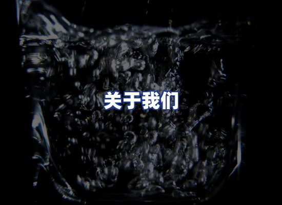 专业团队
